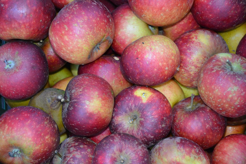 Die Sternrenette wird uns auf der Streuobstwiese begegnen